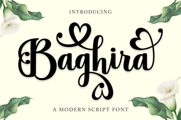 Baghira Font for Elegant Design