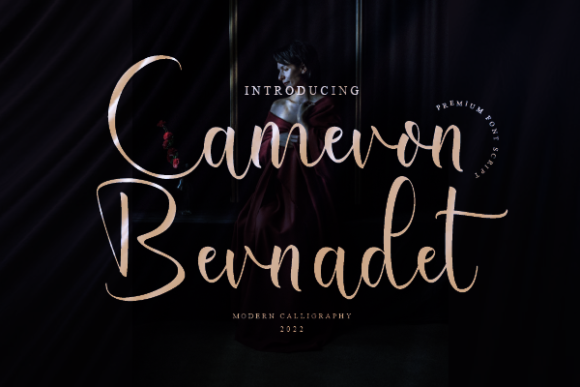Cameron Bernadet Font Review