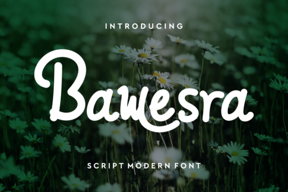 Elevate Your Brand with Bawesra Script Font