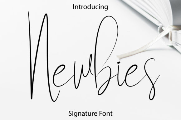 Newbies Font: Elegant Script for Digital Design