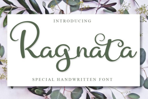 Ragnata Font Review